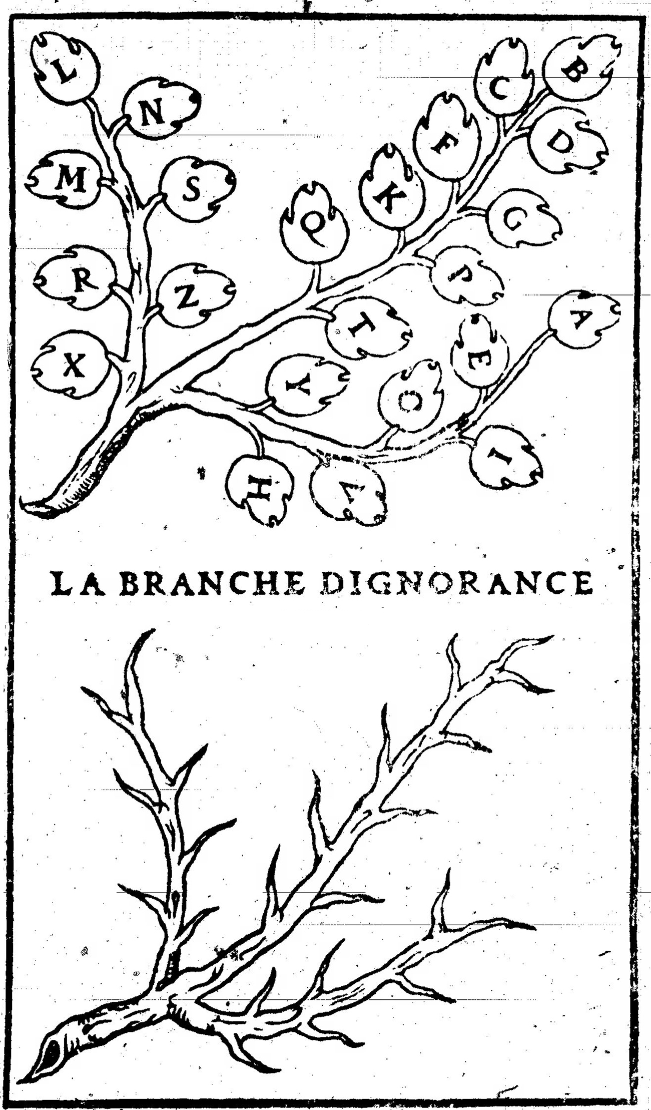 La Branche d'Ignorance